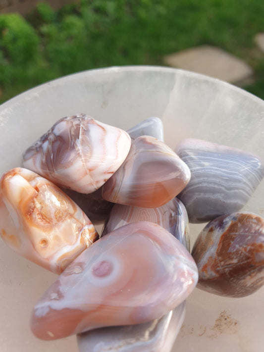 Pink Botswana Agate Tumbled