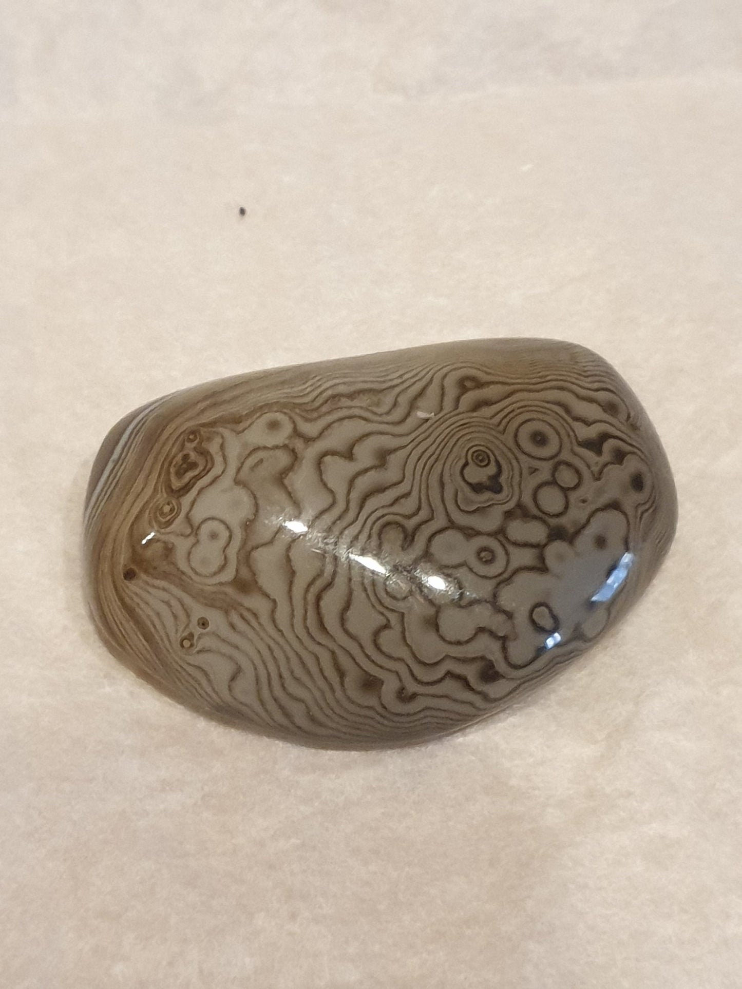 Sardonyx Tumbled Palmstone