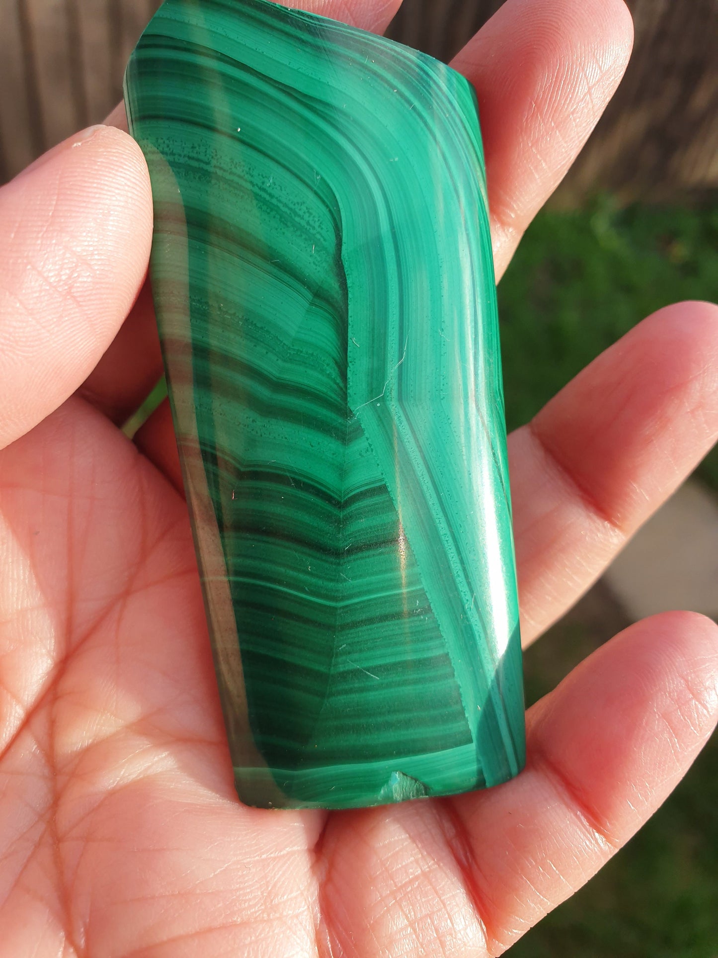 Malachite Polished Freeform