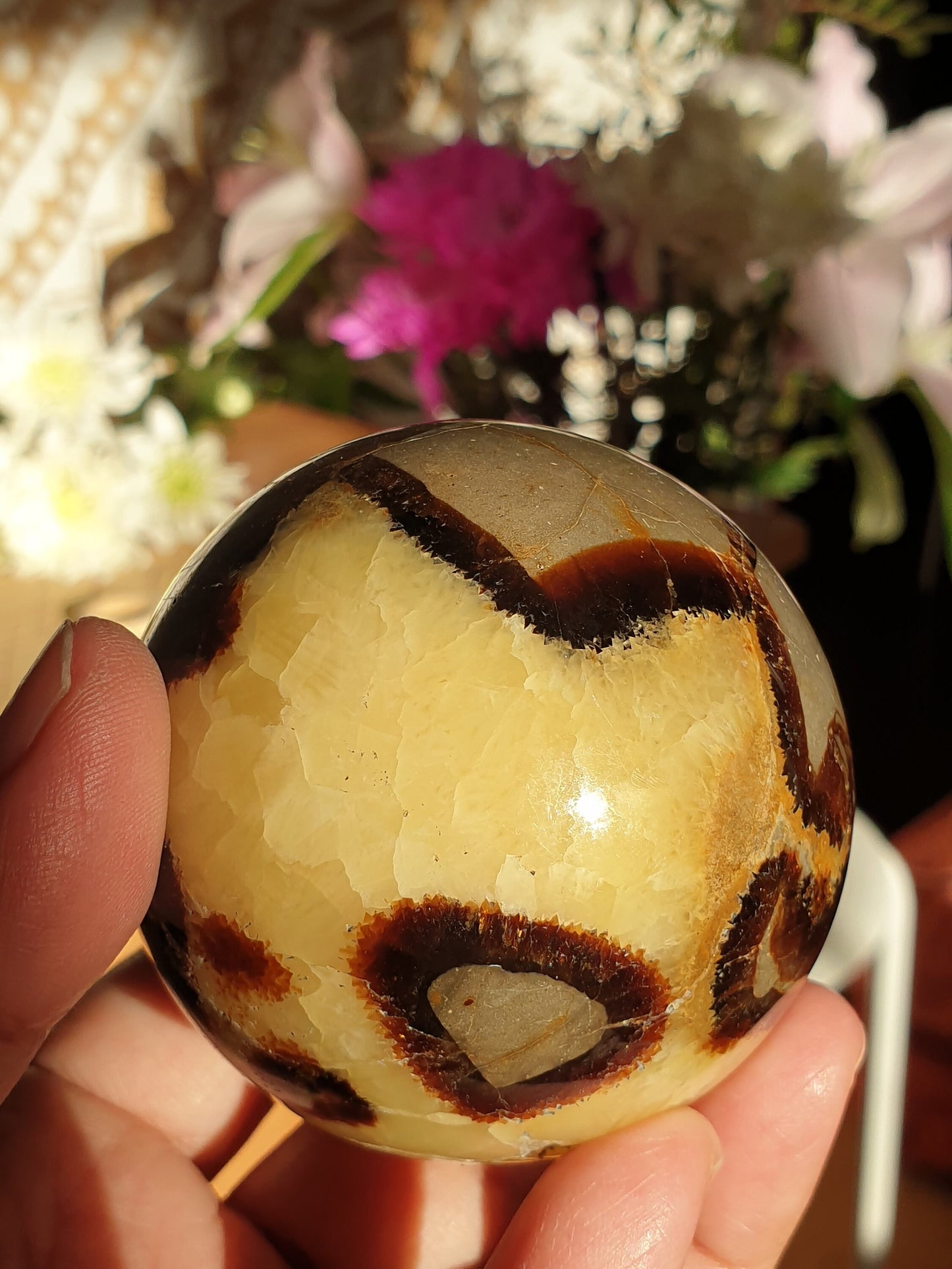 Septarian Spheres