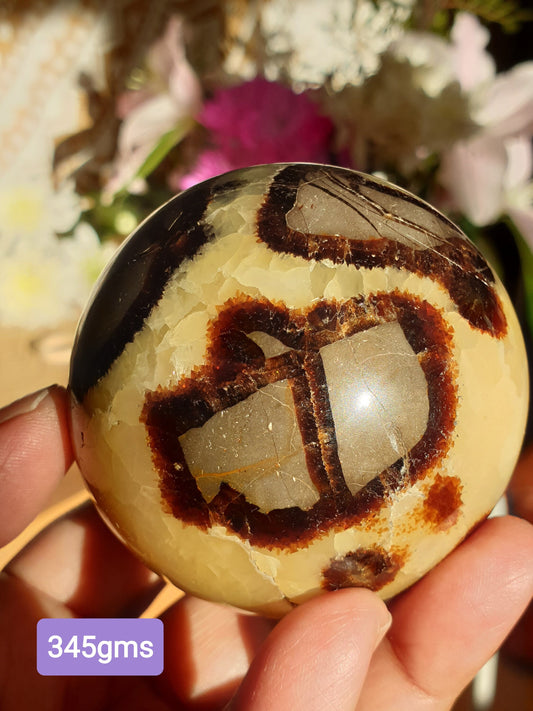Septarian Spheres