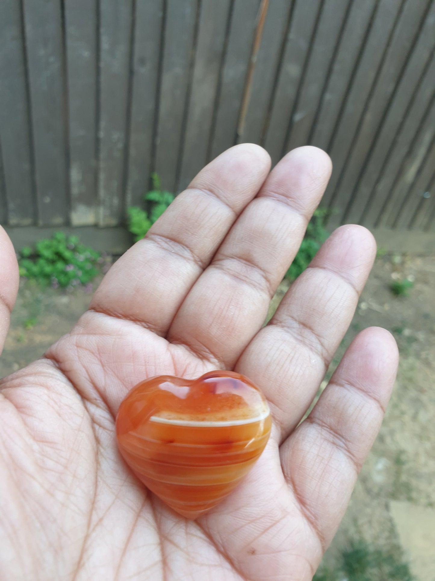Carnelian Heart