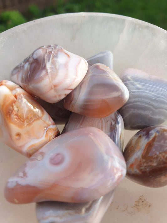Pink Botswana Agate Tumbled