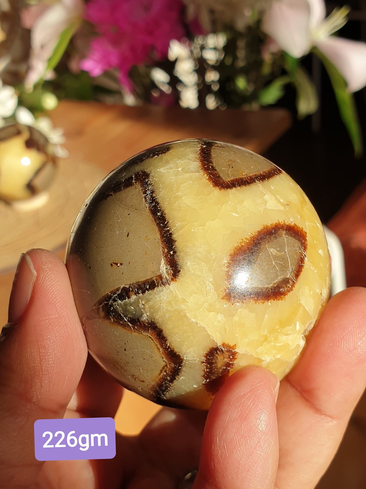 Septarian Spheres