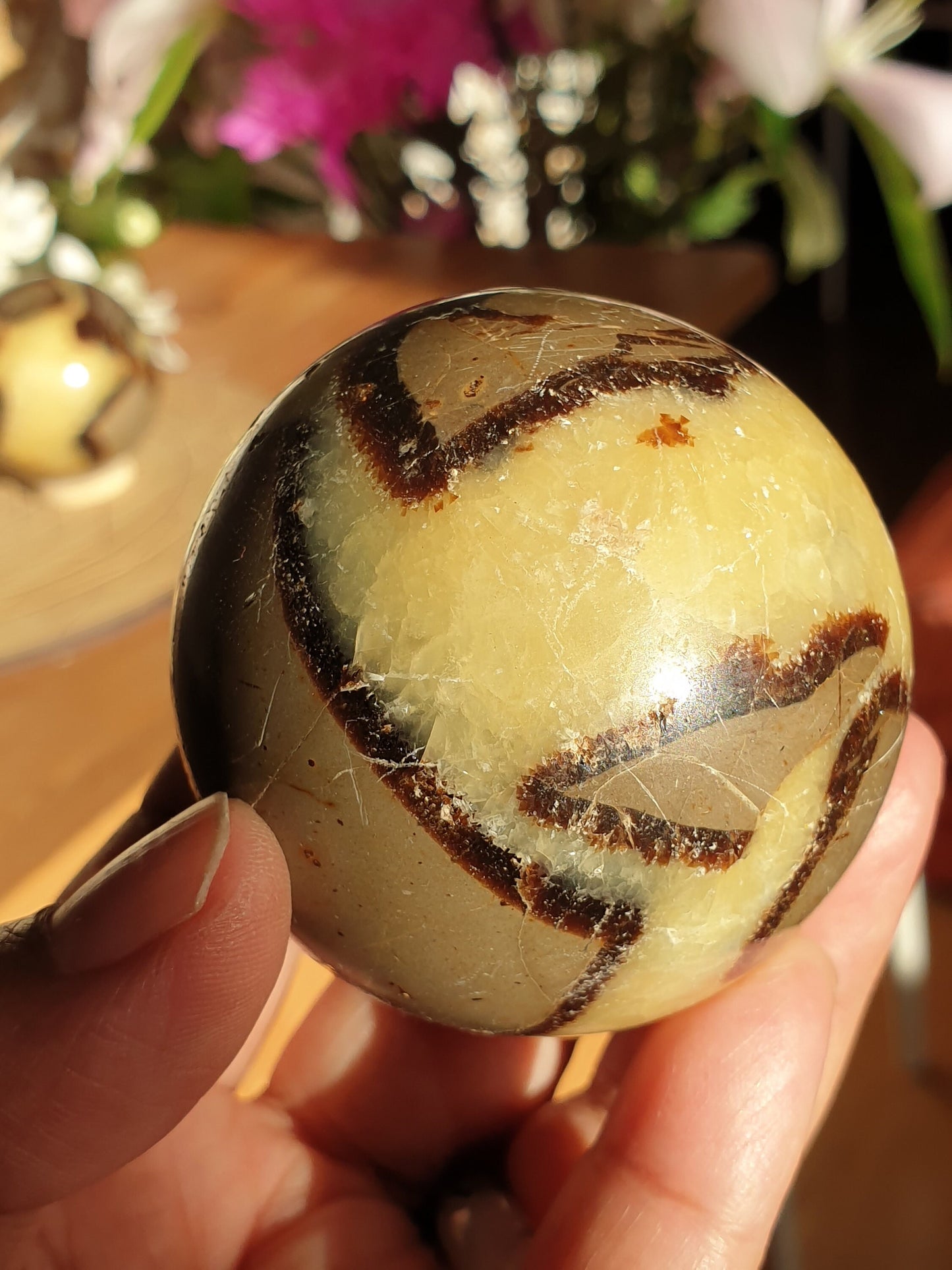 Septarian Spheres