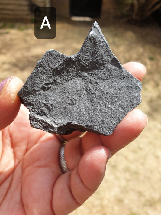 Raw Shungite Chunks