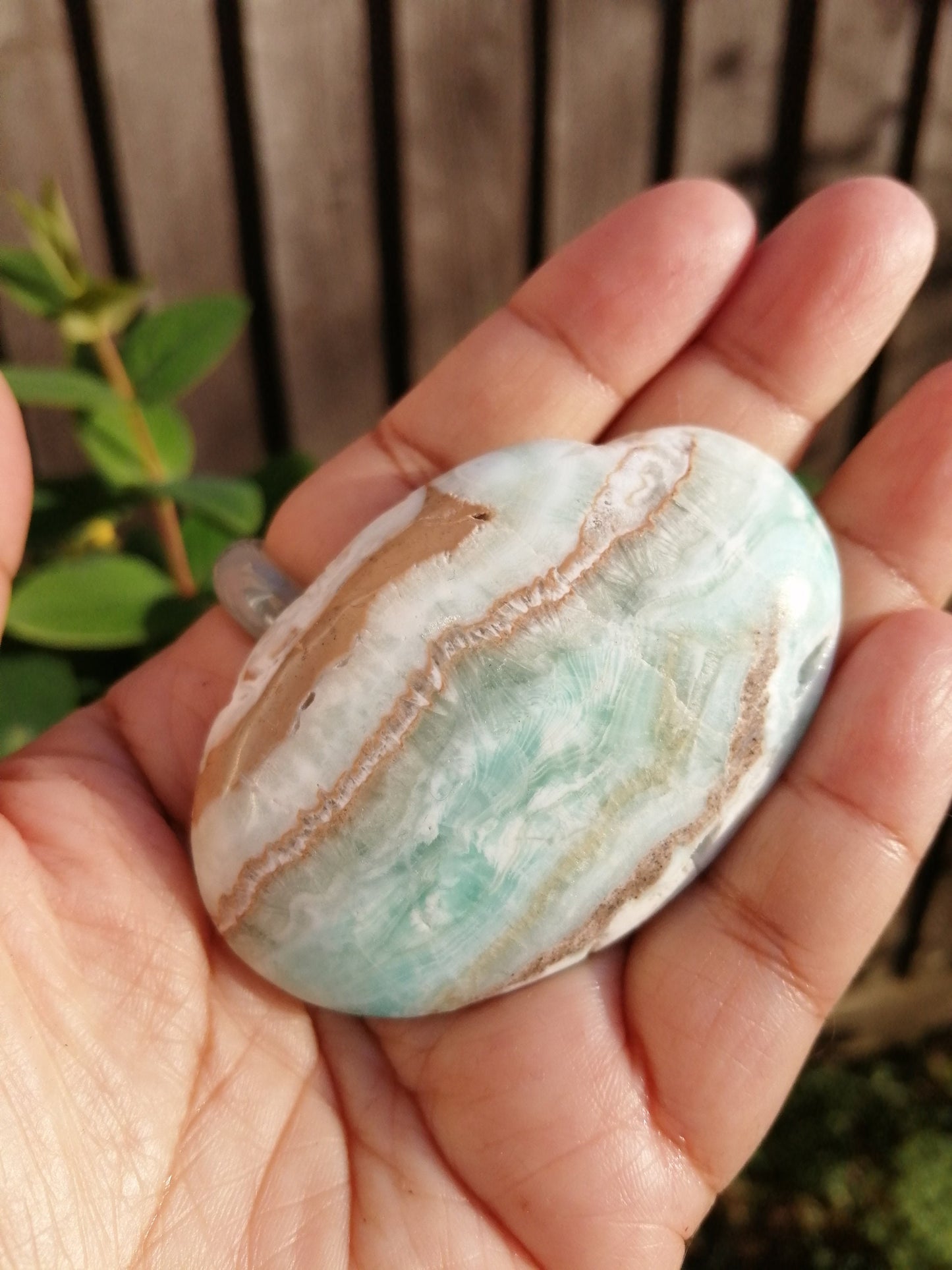 Blue Aragonite Palm Stone