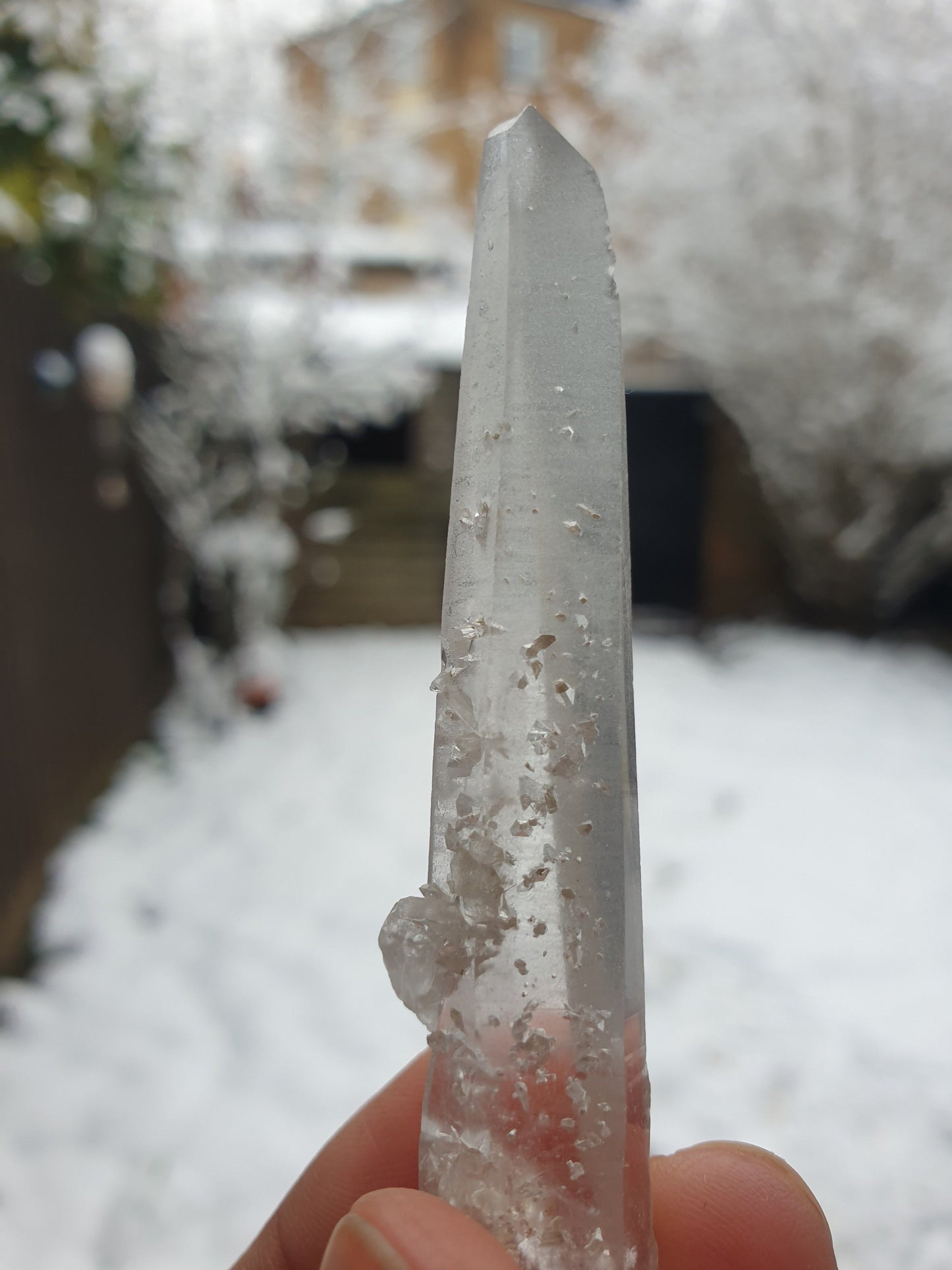 Lemurian Quartz Points