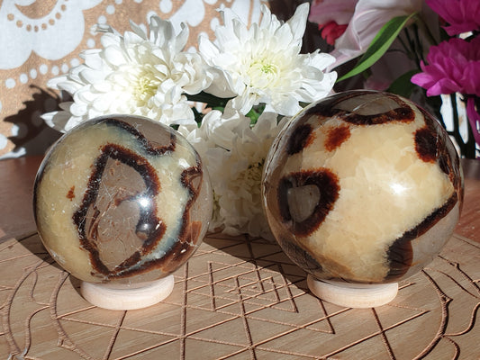Septarian Spheres
