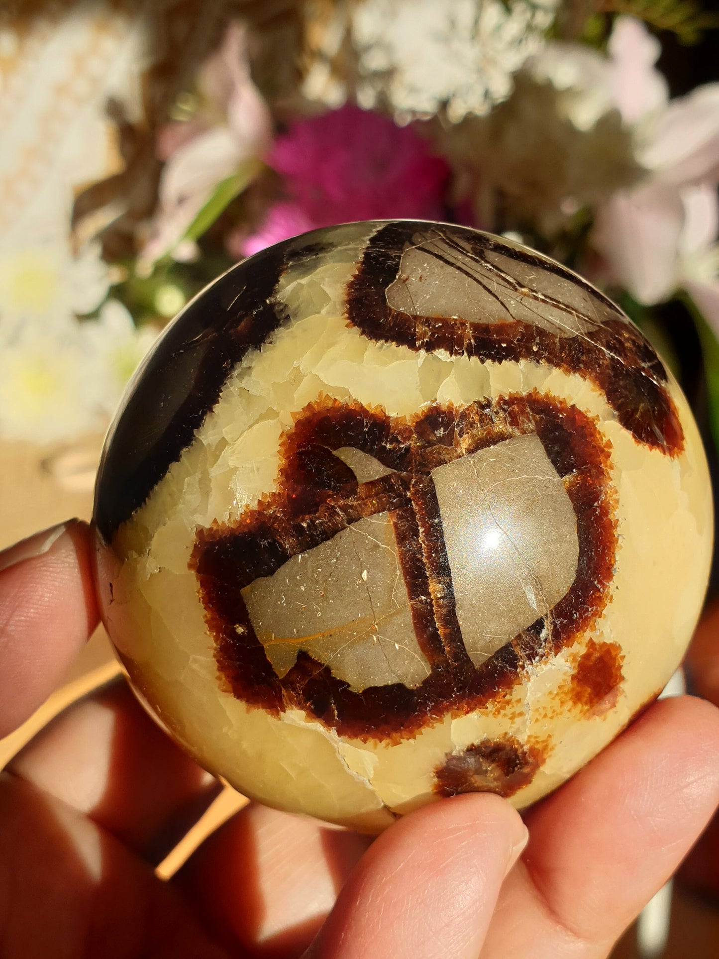 Septarian Spheres