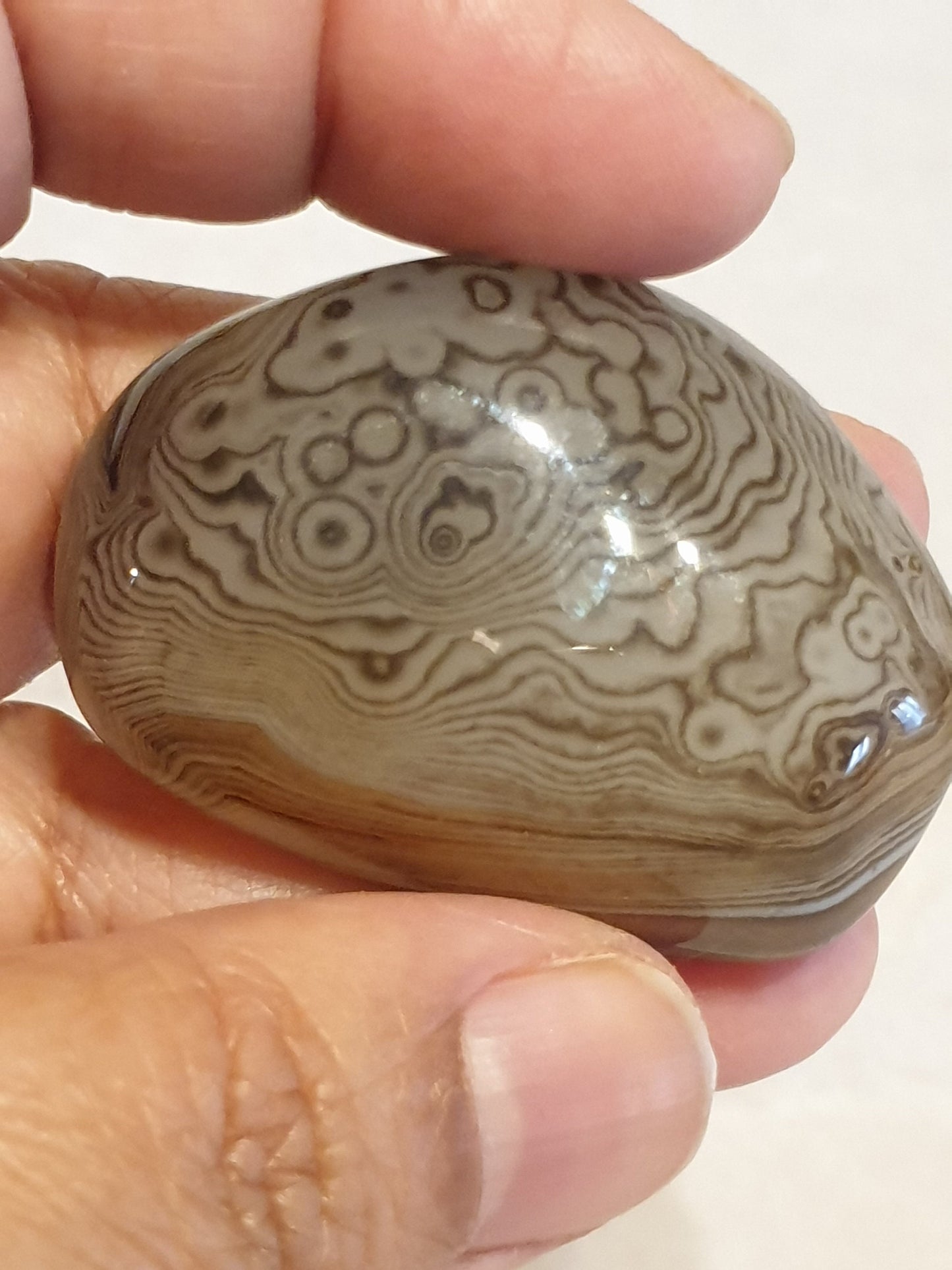 Sardonyx Tumbled Palmstone