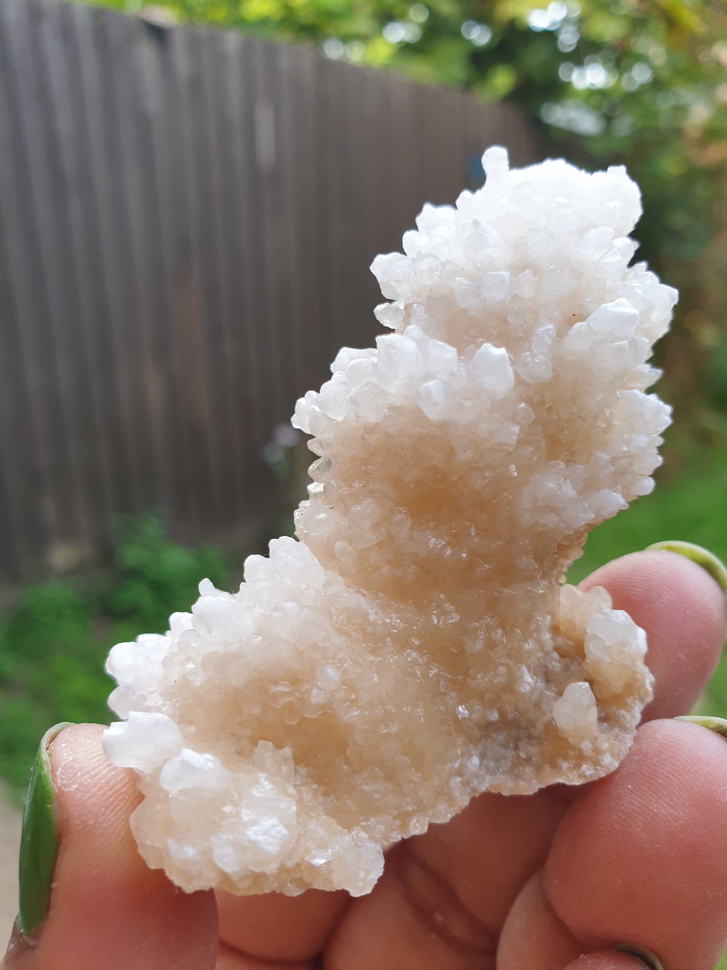 Stalactite Calcite Specimen