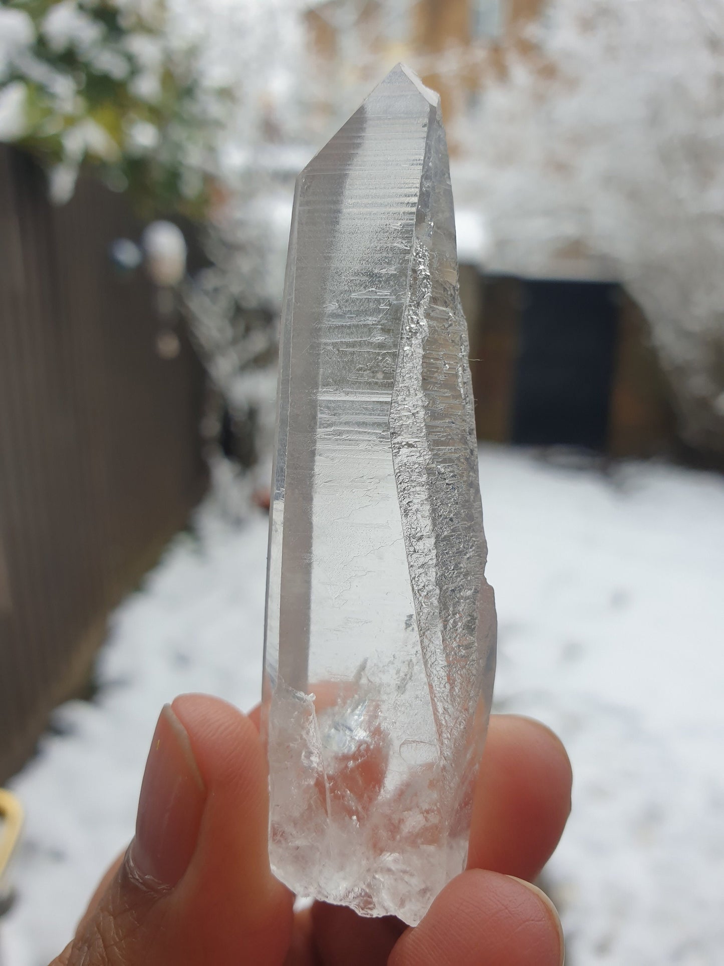 Lemurian Quartz Points