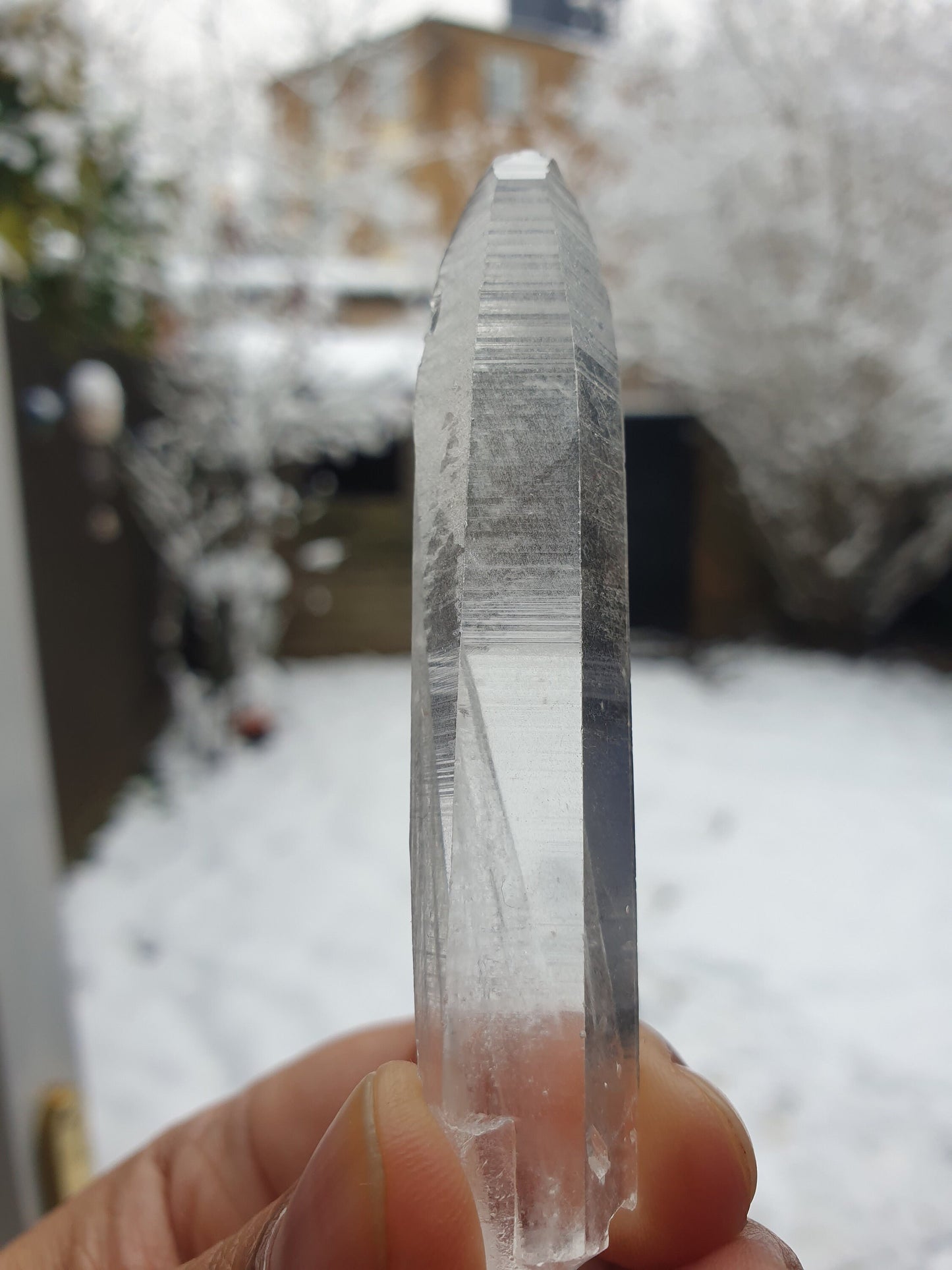 Lemurian Quartz Points