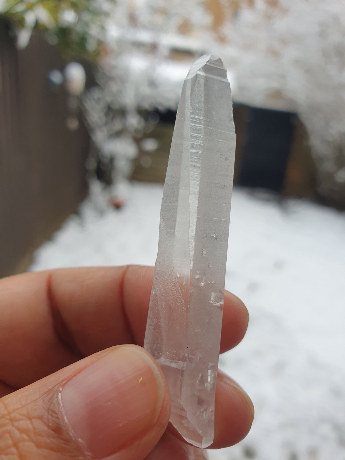Lemurian Quartz Points