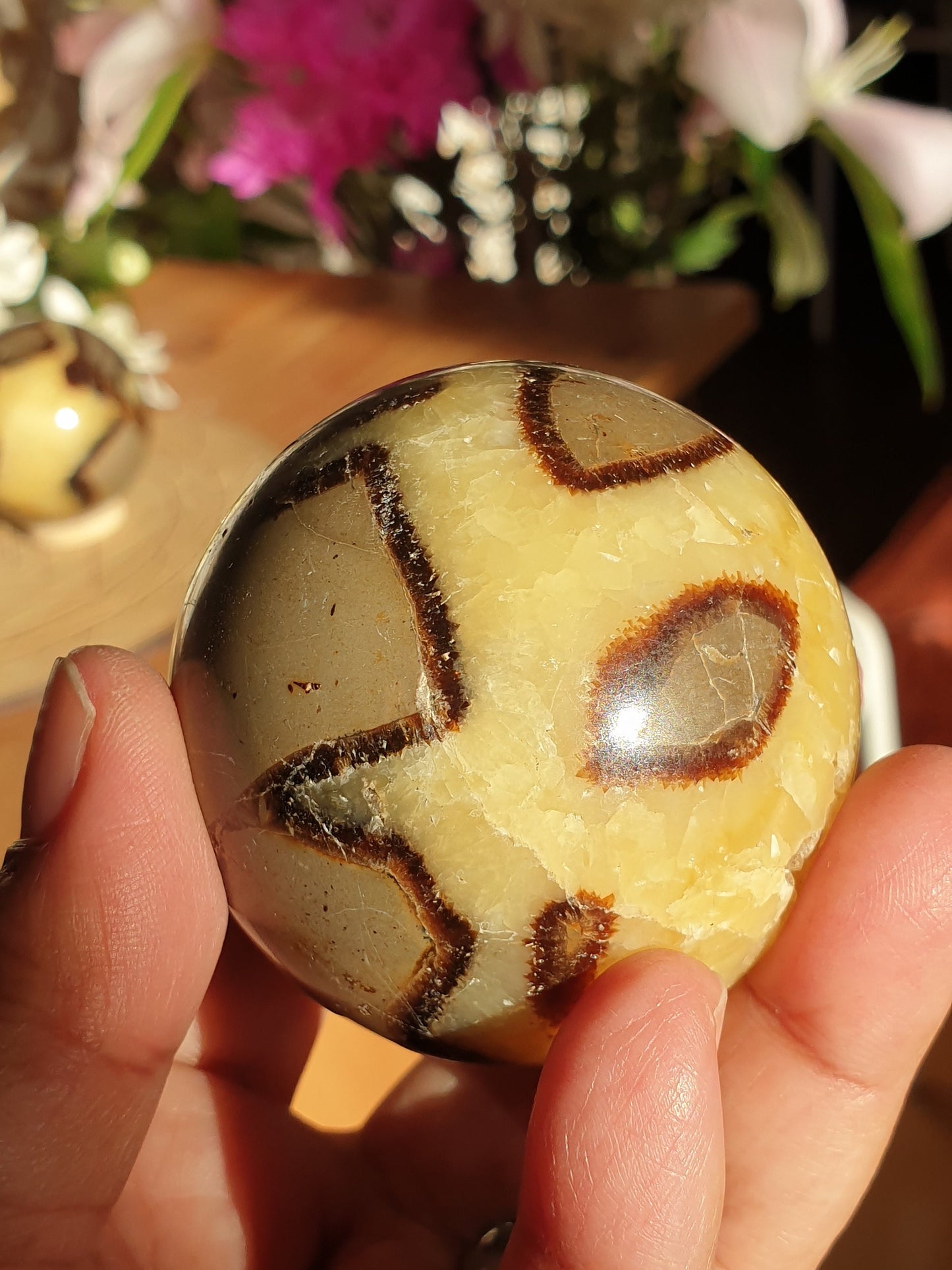 Septarian Spheres