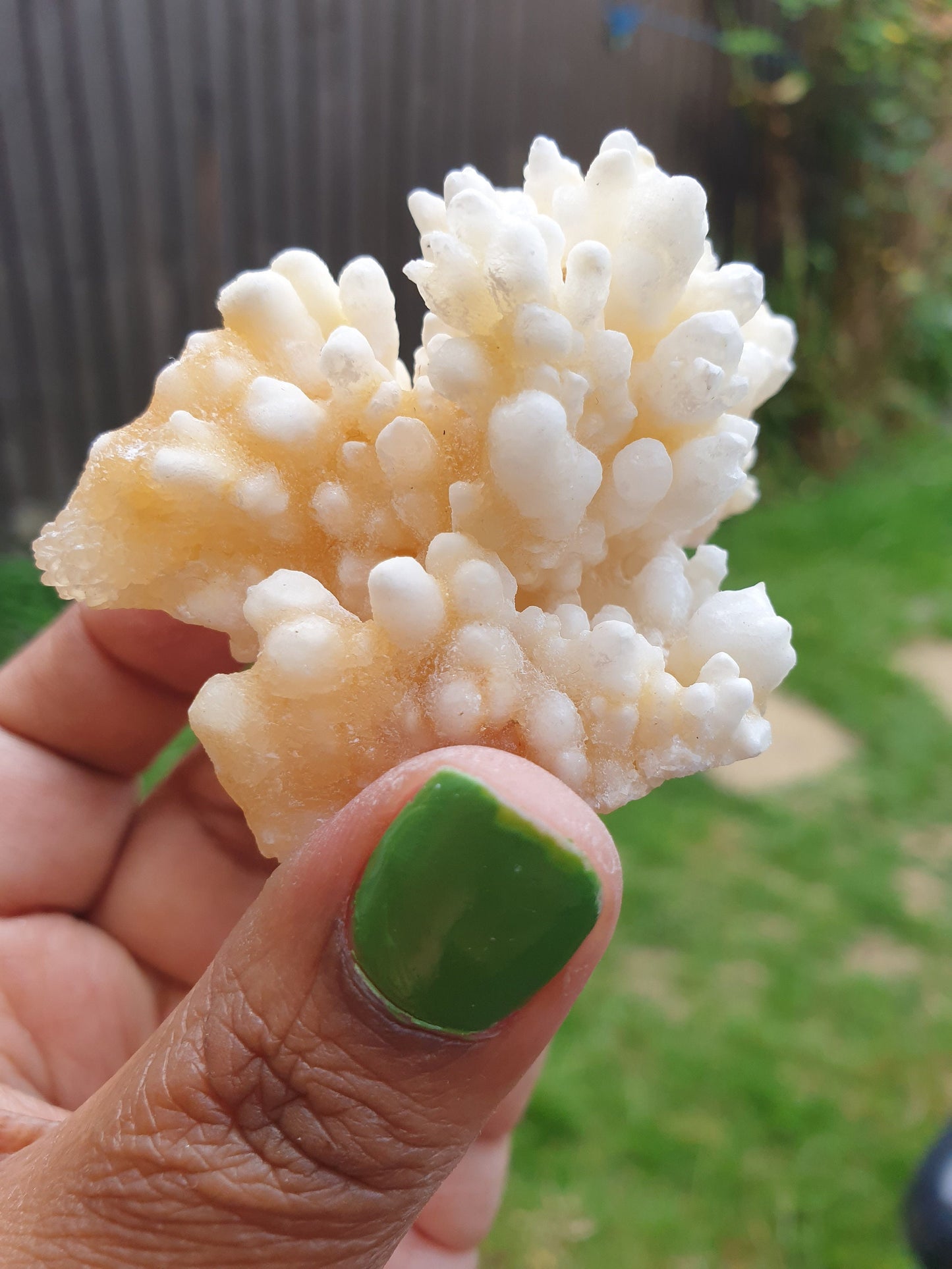 Stalactite Calcite Specimen