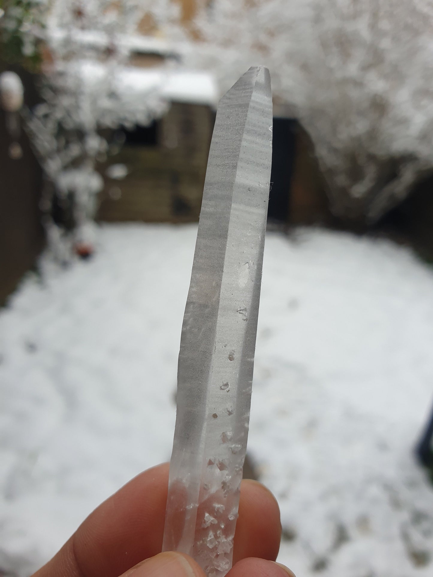 Lemurian Quartz Points