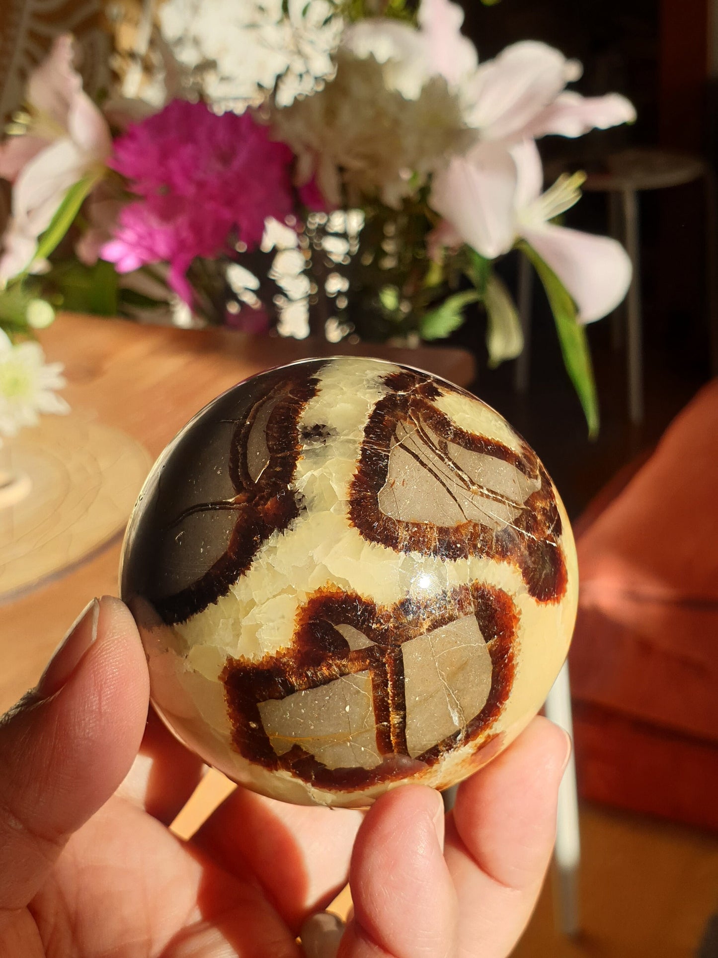 Septarian Spheres