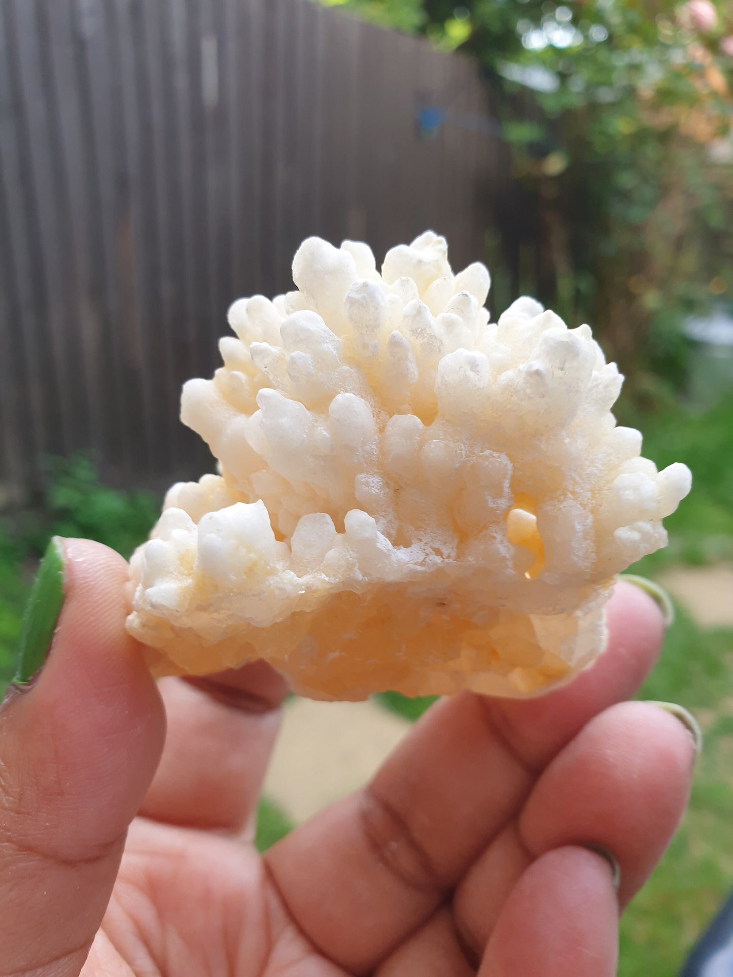 Stalactite Calcite Specimen