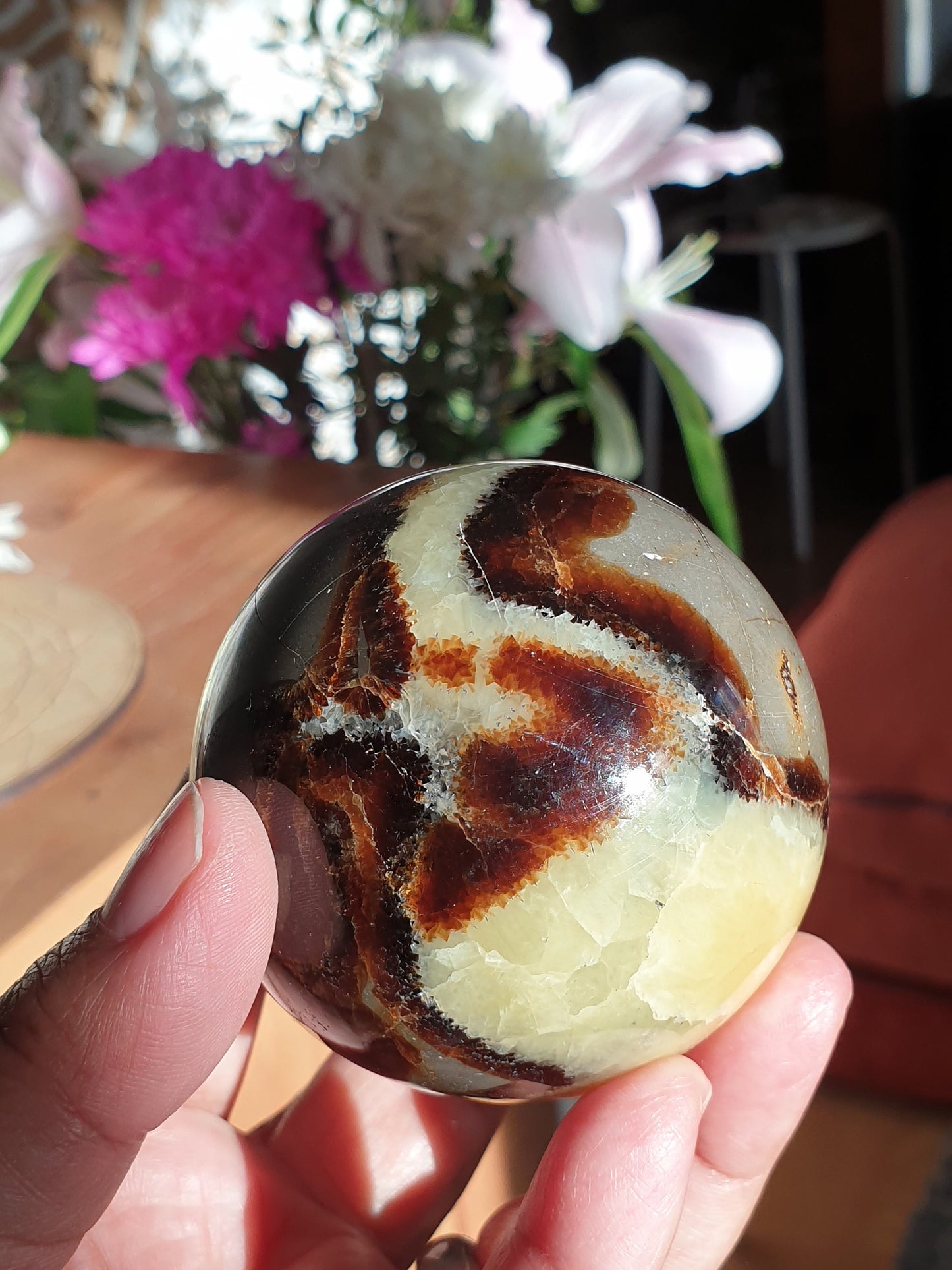 Septarian Spheres
