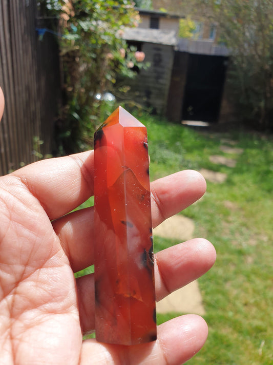 Carnelian Tower